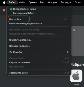 Selecting Settings in the Safari Browser